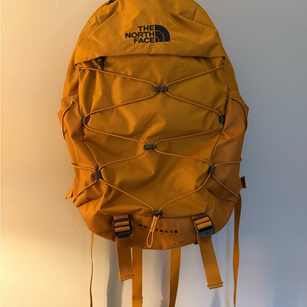 The North Face Men's Borealis Backpack, timber